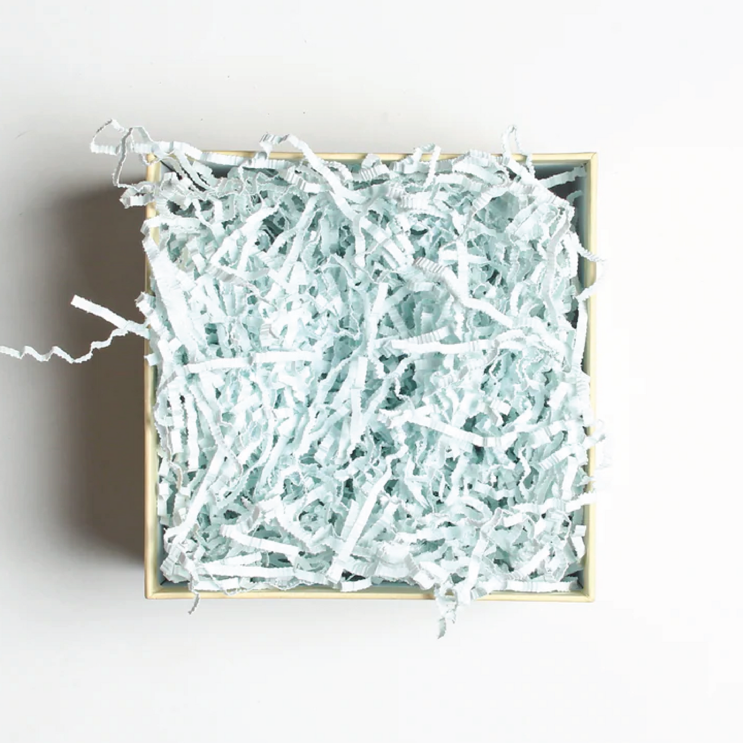 Shredded Paper