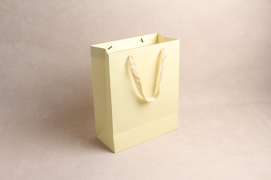 10.25" x 12.5" x 4.75" %bag%