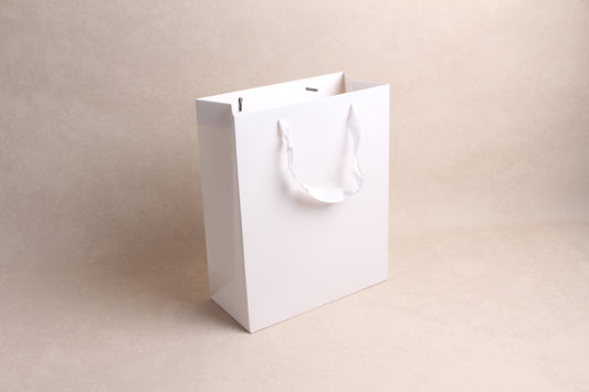 10.25" x 12.5" x 4.75" %bag%