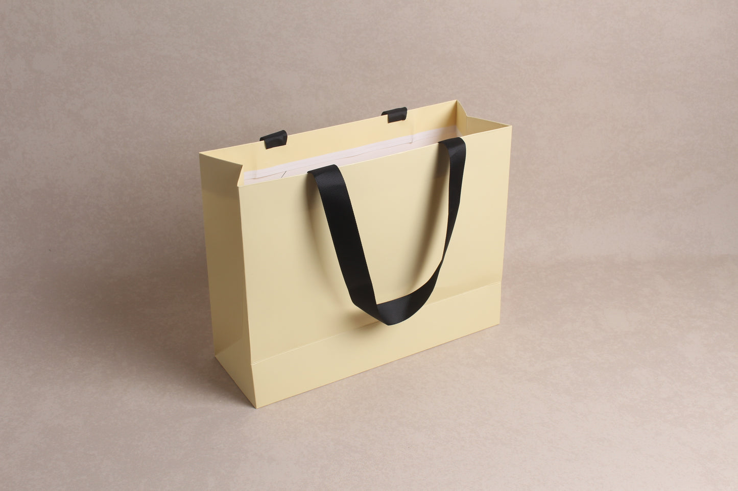12.5" x 9.75" x 4.25" %bag%