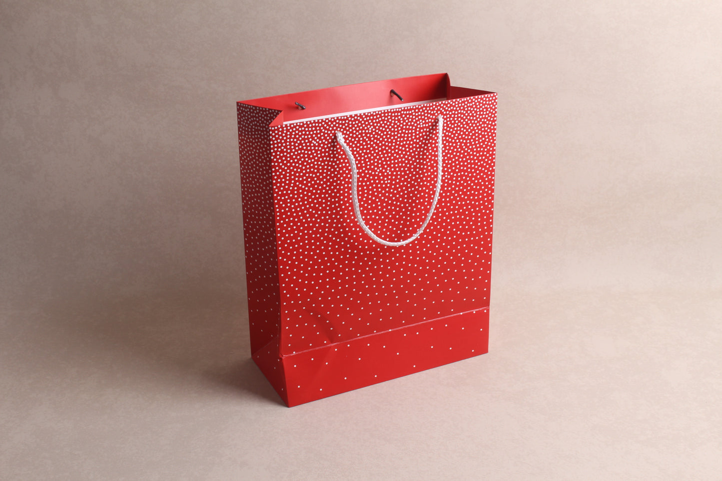 10.25" x 12.5" x 4.75" %bag%