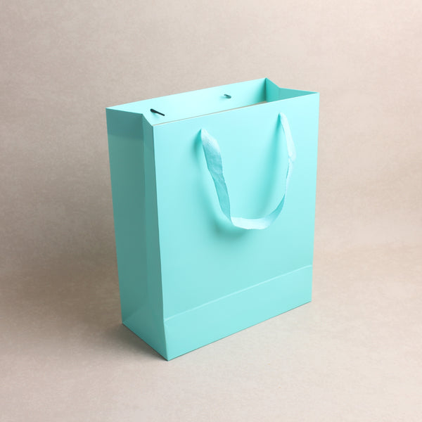 Twill Handle Blue