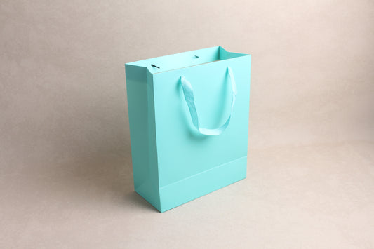10.25" x 12.5" x 4.75" %bag%