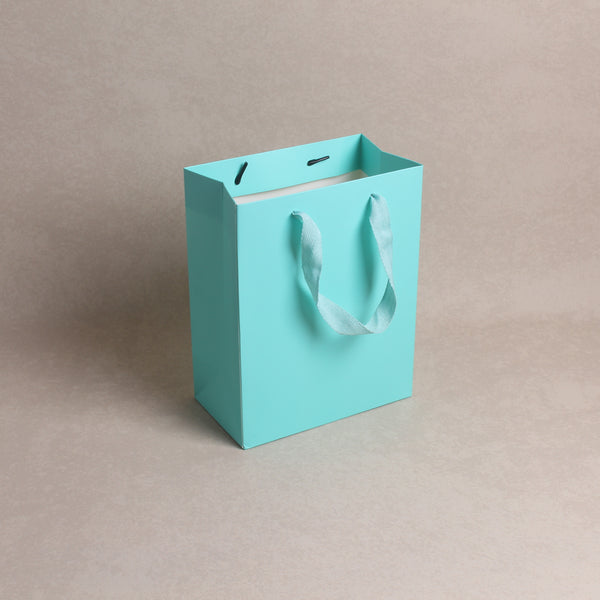 Twill Handle Blue
