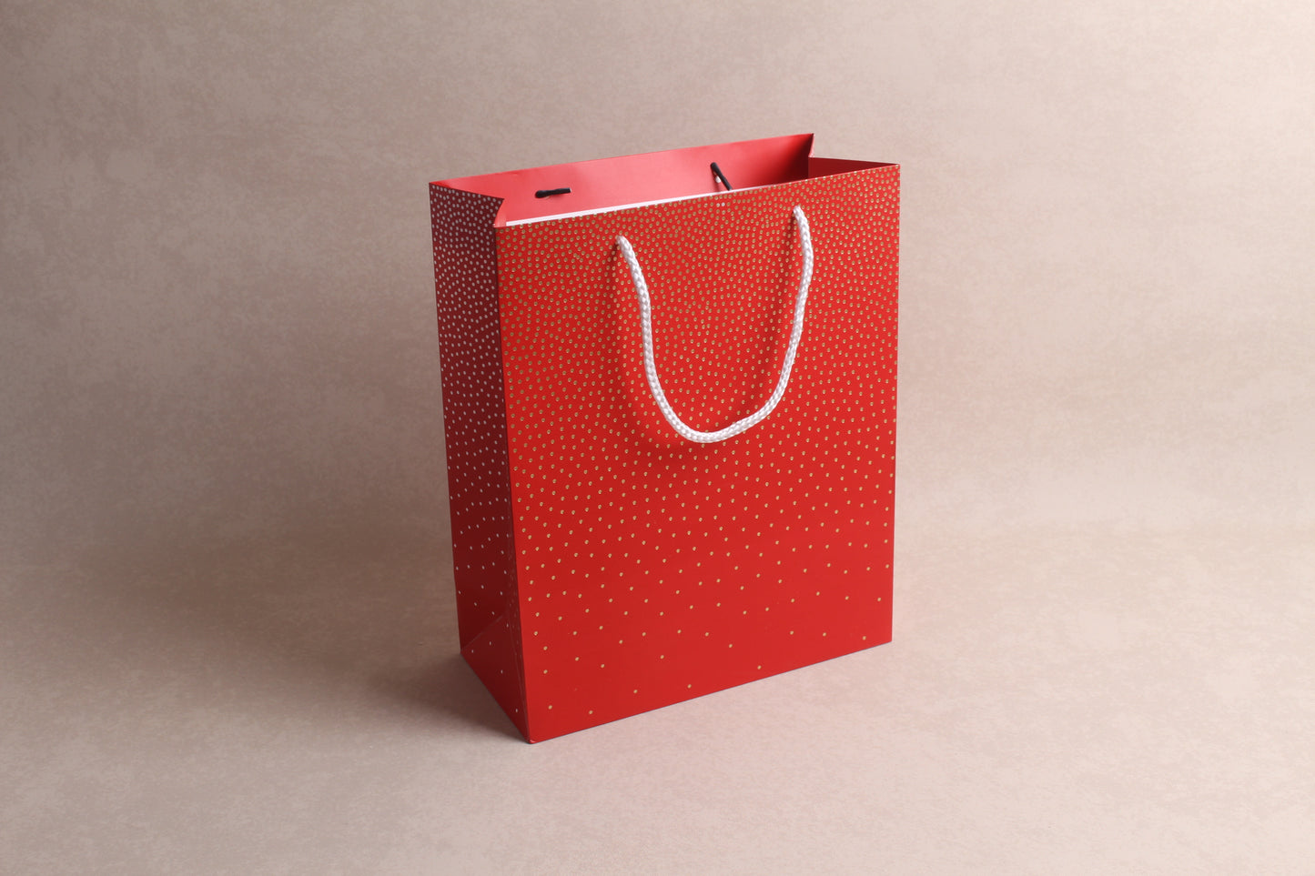 10.25" x 12.5" x 4.75" %bag%