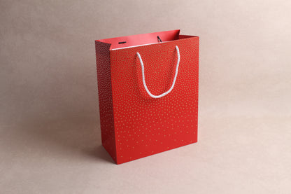 10.25" x 12.5" x 4.75" %bag%